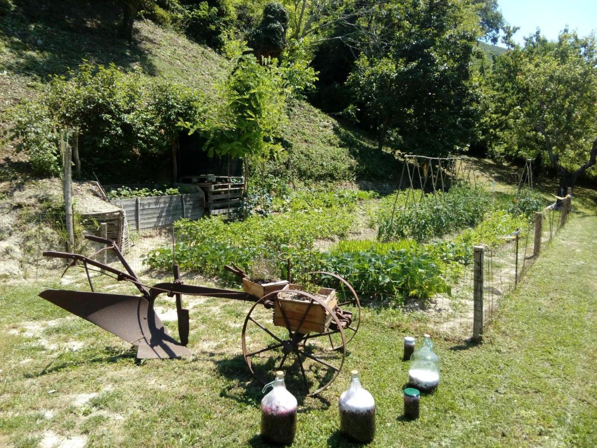 Bed & Breakfast Sentiero 54 Cantiano Eksteriør bilde